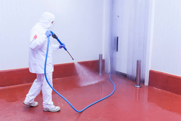 Best Boat and Dock Cleaning  in Mauston, WI
